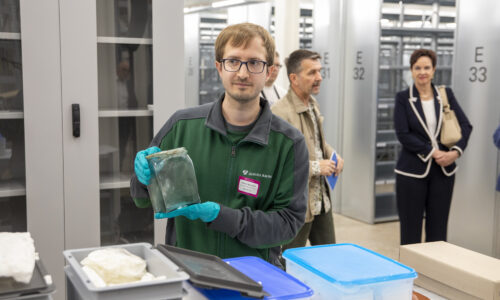L'archeologo Michael Baumann fornisce informazioni sulla collezione.