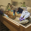 Der Bleisarg wird unter Laborbedingungen freigelegt - Foto Ronald Simke