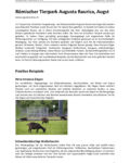 Roemischer Tierpark Bericht Schweizer Tierschutz